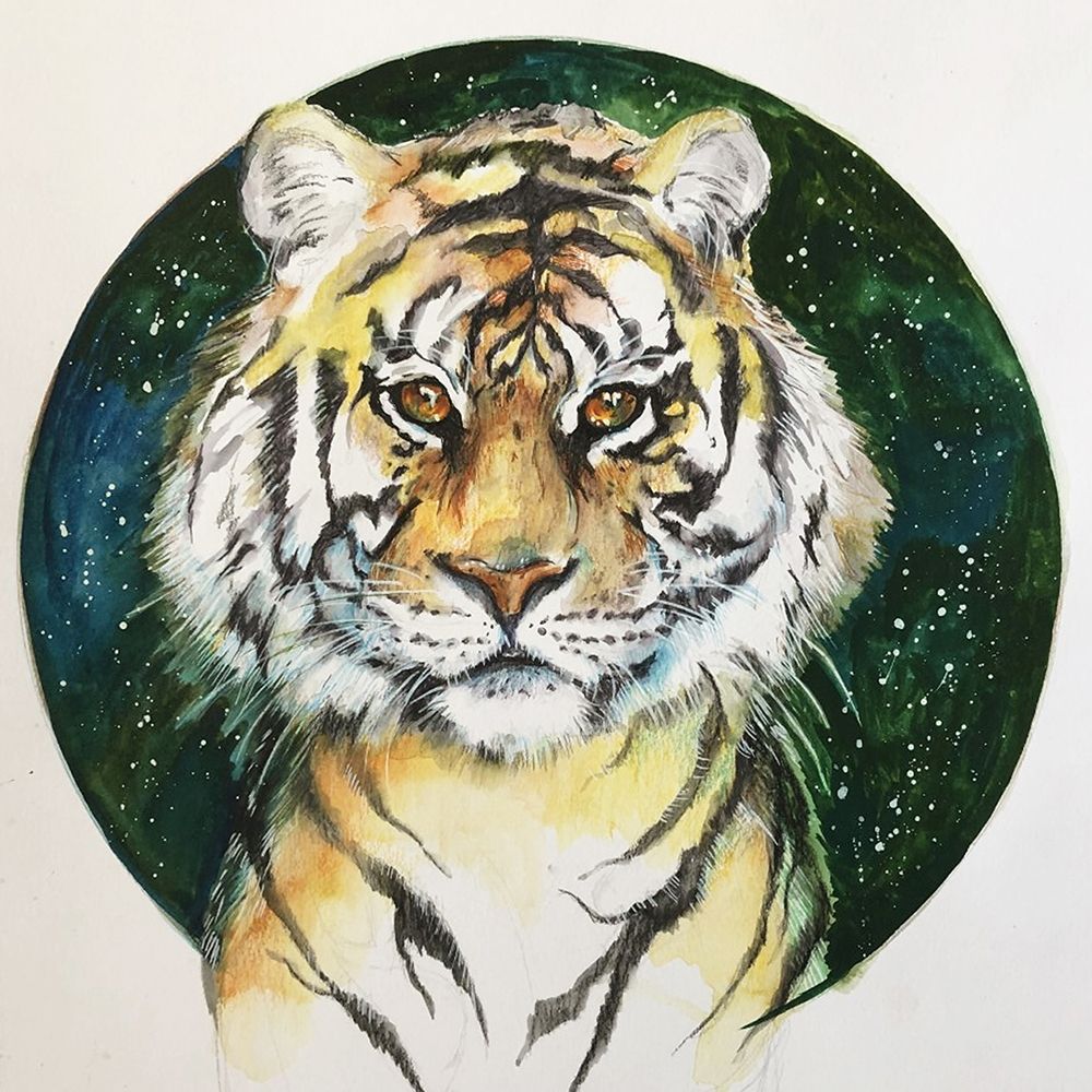 A Tiger art print by Emma Catherine Debs for $57.95 CAD