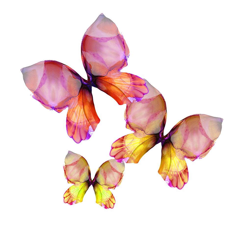 Floral Butterfly Trio art print by Emma Catherine Debs for $57.95 CAD