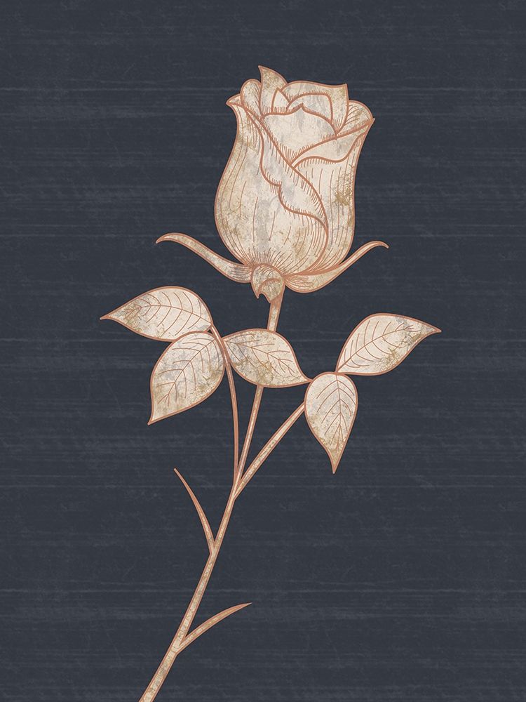 Flower 1 art print by Lauren Gibbons for $57.95 CAD