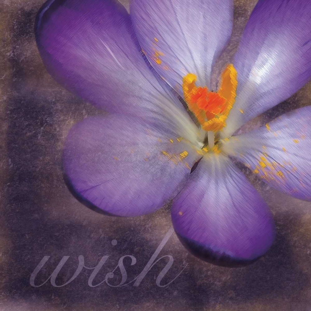 Wish Flower art print by Lauren Gibbons for $57.95 CAD