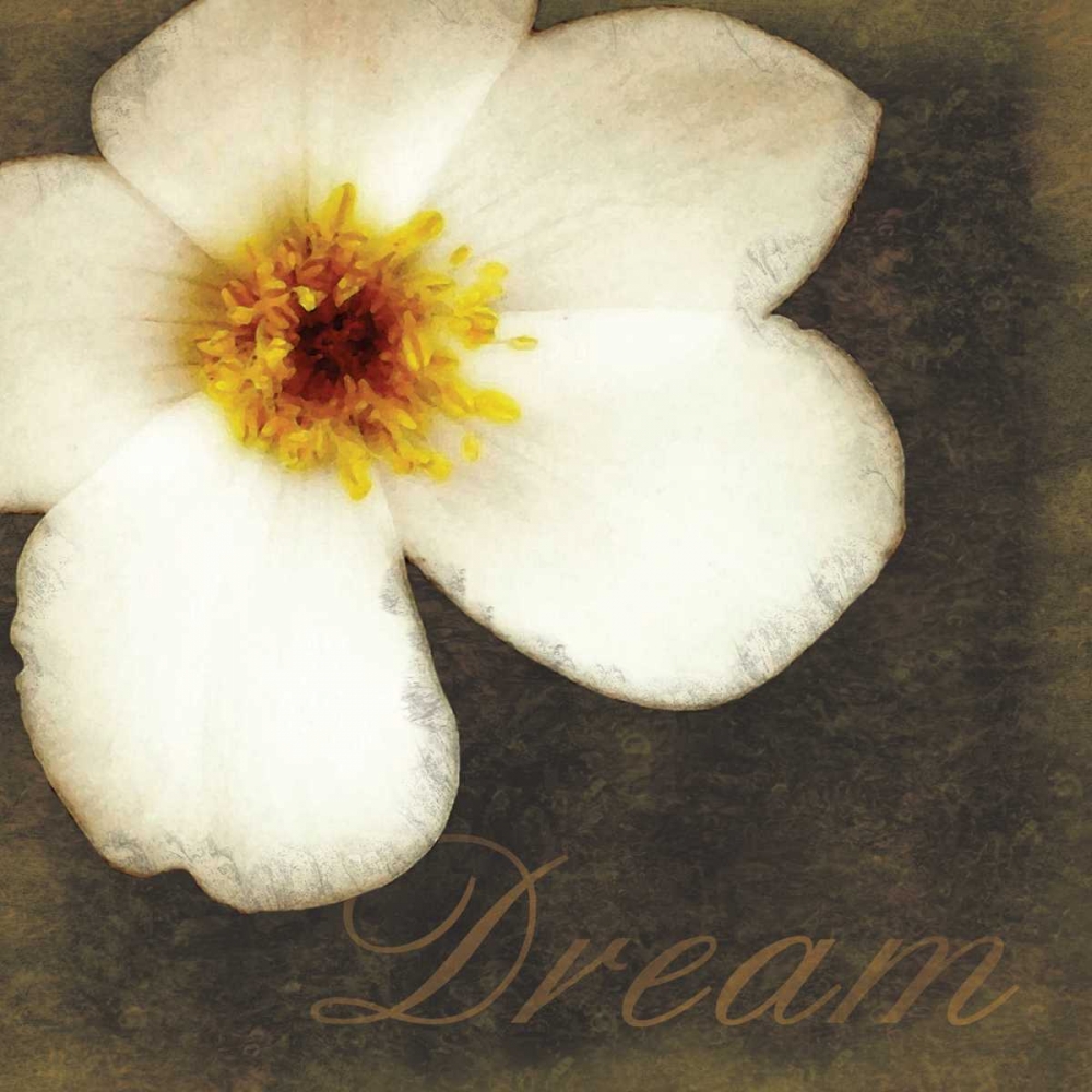 White Dream Flower art print by Lauren Gibbons for $57.95 CAD