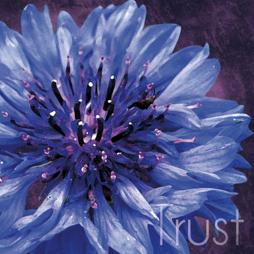 Trust Flower art print by Lauren Gibbons for $57.95 CAD