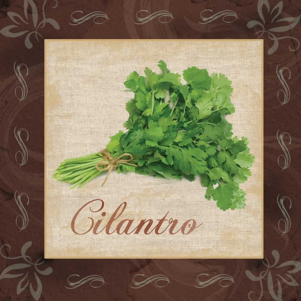 Cilantro art print by Lauren Gibbons for $57.95 CAD