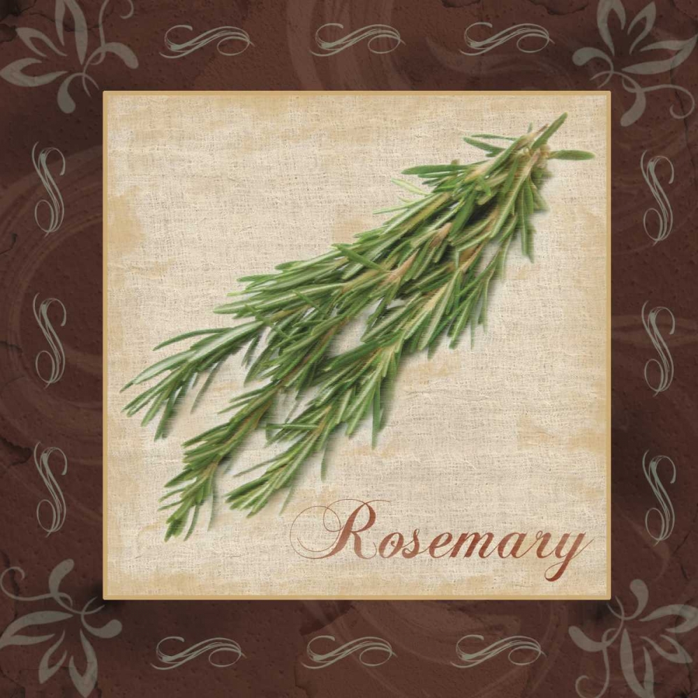 Rosemary art print by Lauren Gibbons for $57.95 CAD