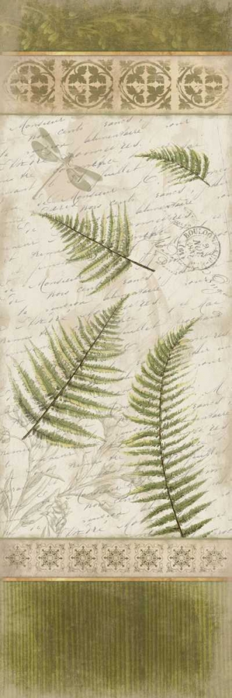 Ferns art print by Jace Grey for $57.95 CAD