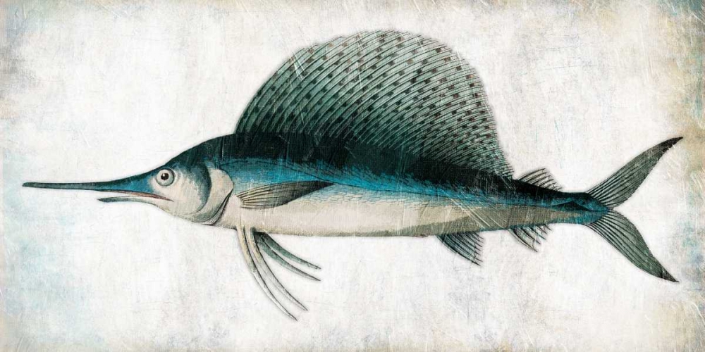 Swordfish art print by Jace Grey for $57.95 CAD