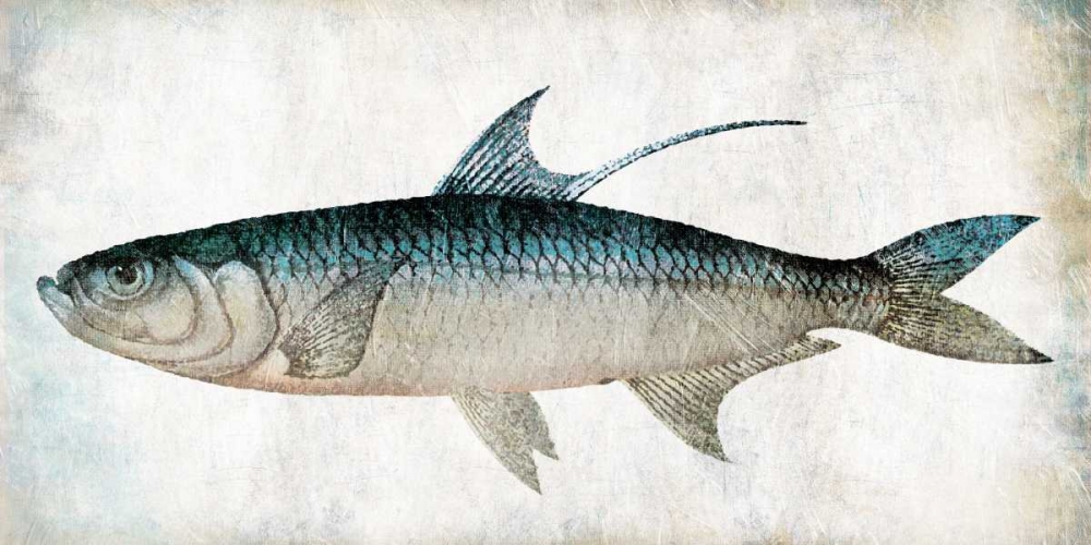 Fish art print by Jace Grey for $57.95 CAD