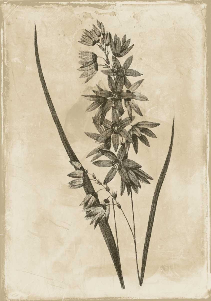 Floral Earthtone art print by Jace Grey for $57.95 CAD
