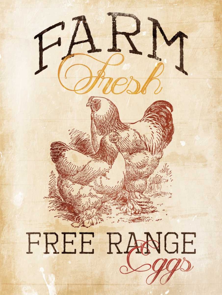 Free Range Eggs art print by Jace Grey for $57.95 CAD