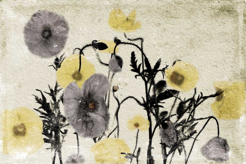 Stone Wash Poppies art print by Jace Grey for $57.95 CAD
