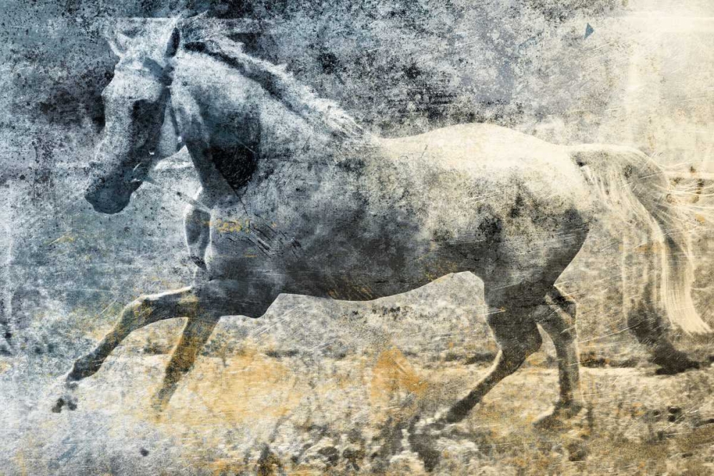 Washed Out Horse art print by Jace Grey for $57.95 CAD