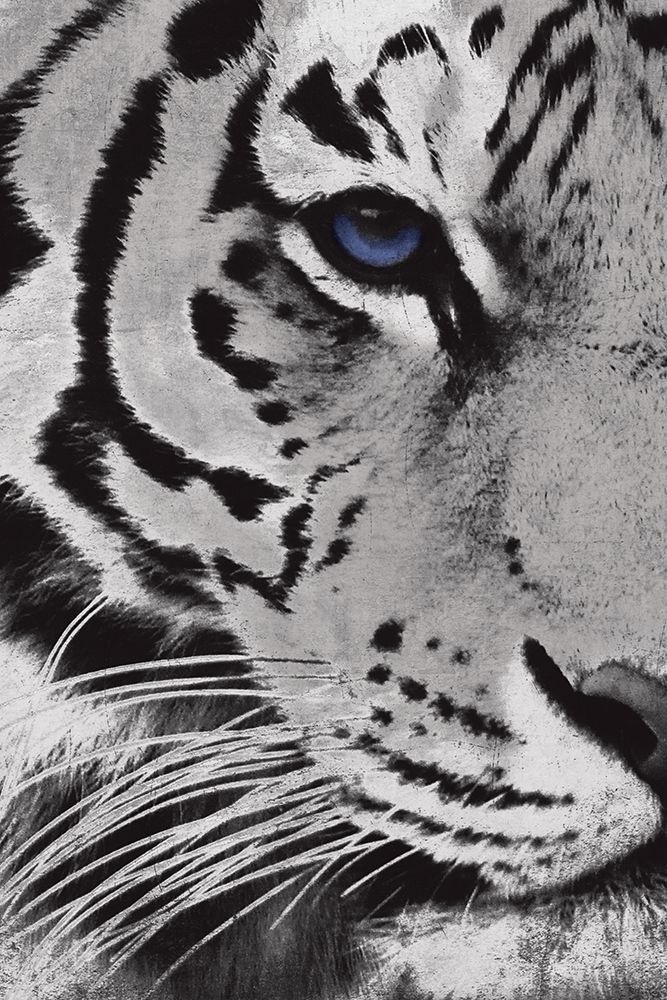Tiger Purple Eye art print by Jace Grey for $57.95 CAD