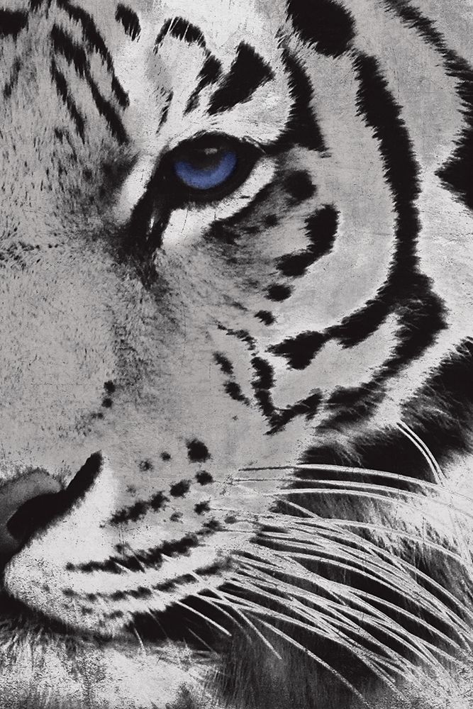 Tiger Purple Eye Mate art print by Jace Grey for $57.95 CAD