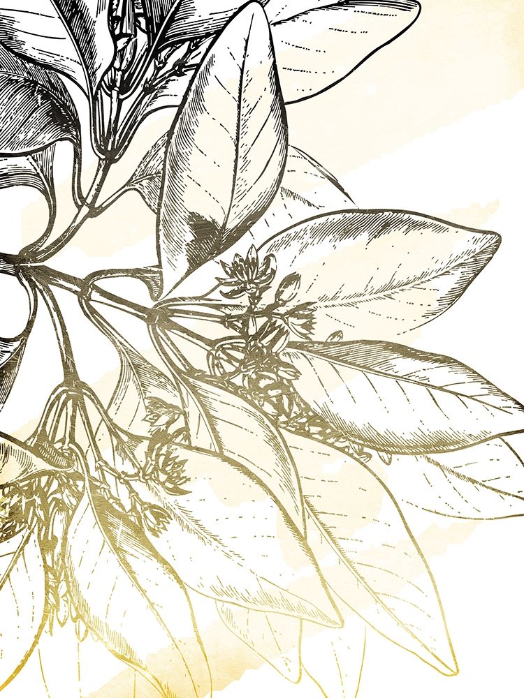 Fade Botanicals art print by Jace Grey for $57.95 CAD