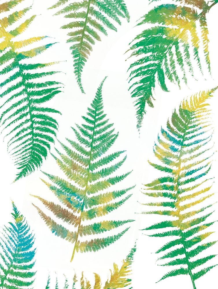Bright Ferns art print by Jace Grey for $57.95 CAD