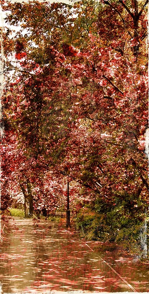 Ny Fall Trees Mate art print by Jace Grey for $57.95 CAD