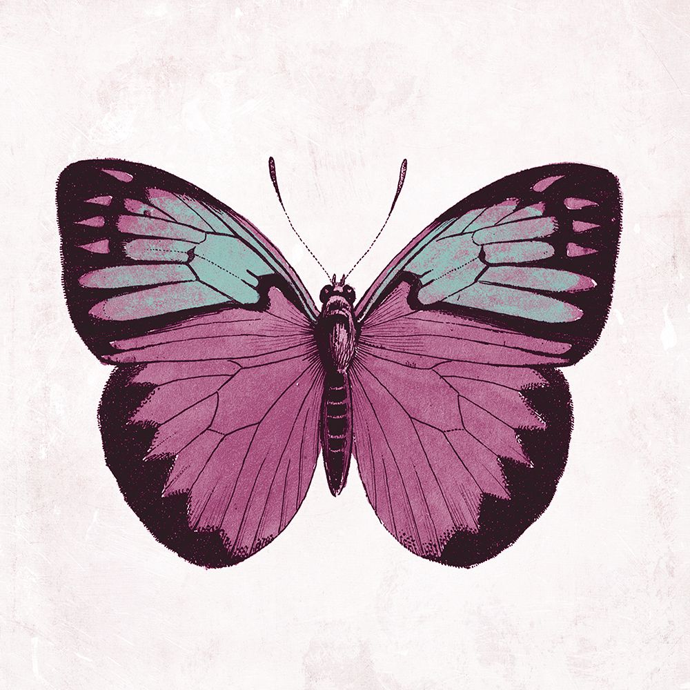 Butterfly 3 art print by Jace Grey for $57.95 CAD