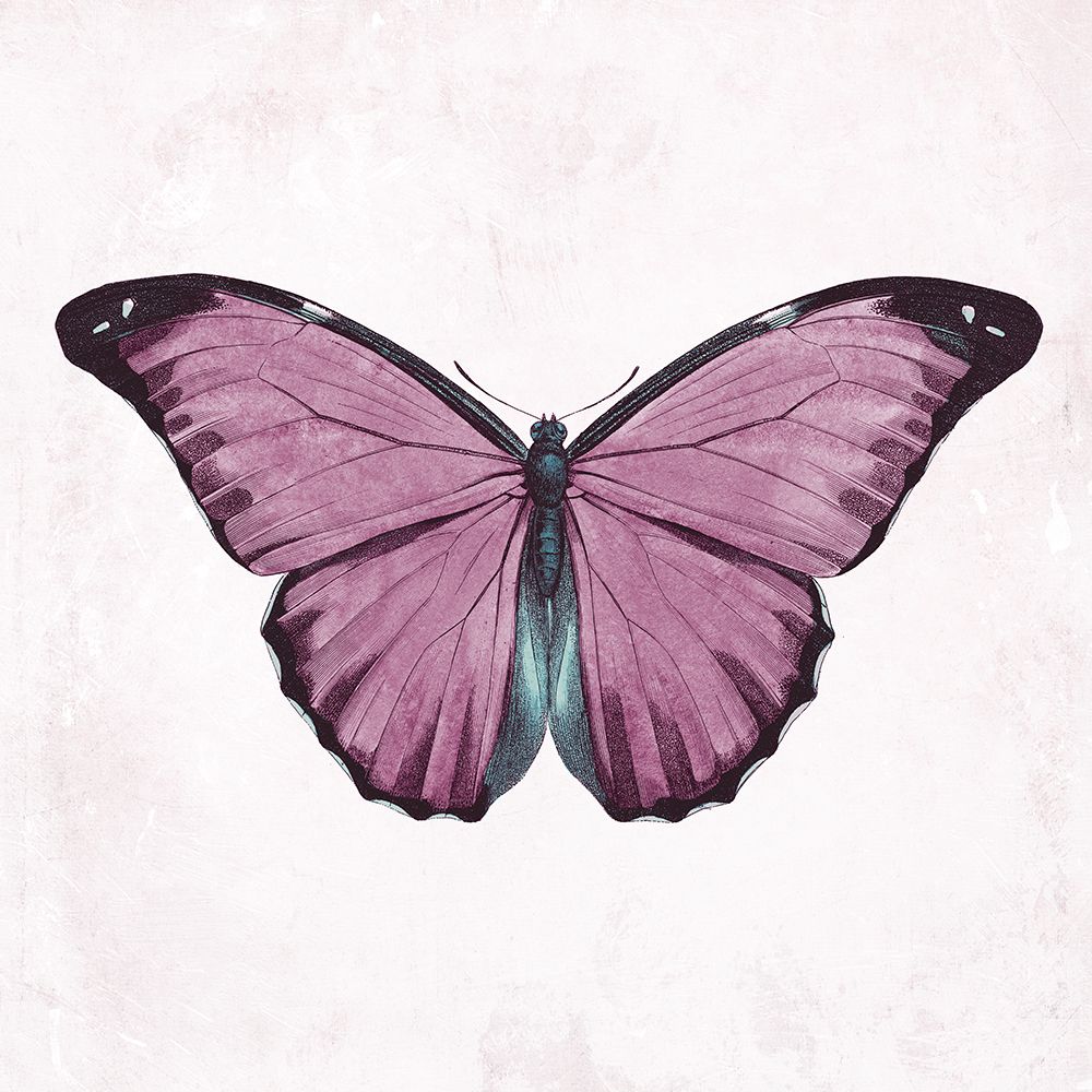Butterfly 4 art print by Jace Grey for $57.95 CAD