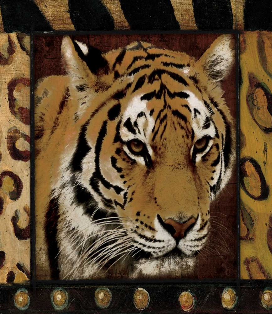Tiger bordered art print by Jace Grey for $57.95 CAD