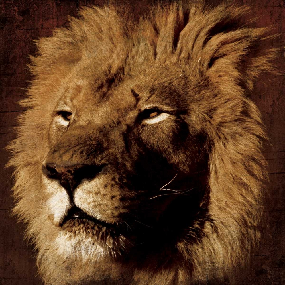 Lion art print by Jace Grey for $57.95 CAD