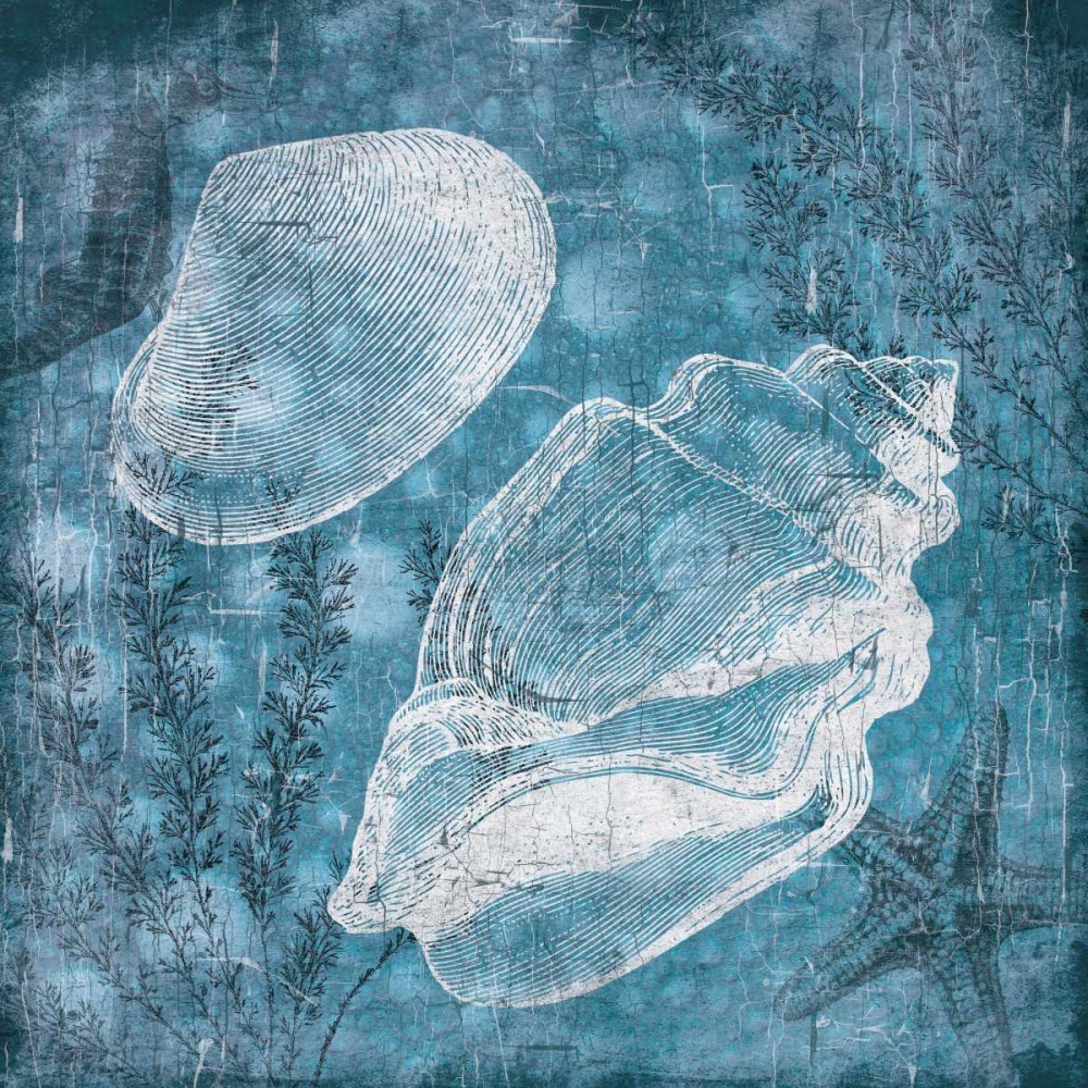 Shell Bubbles I art print by Jace Grey for $57.95 CAD
