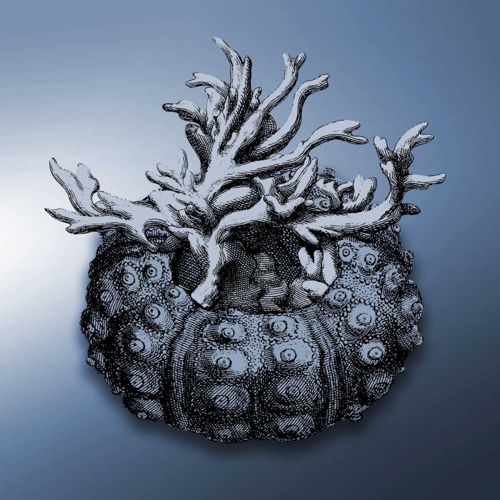 Nautical 2 art print by Jace Grey for $57.95 CAD