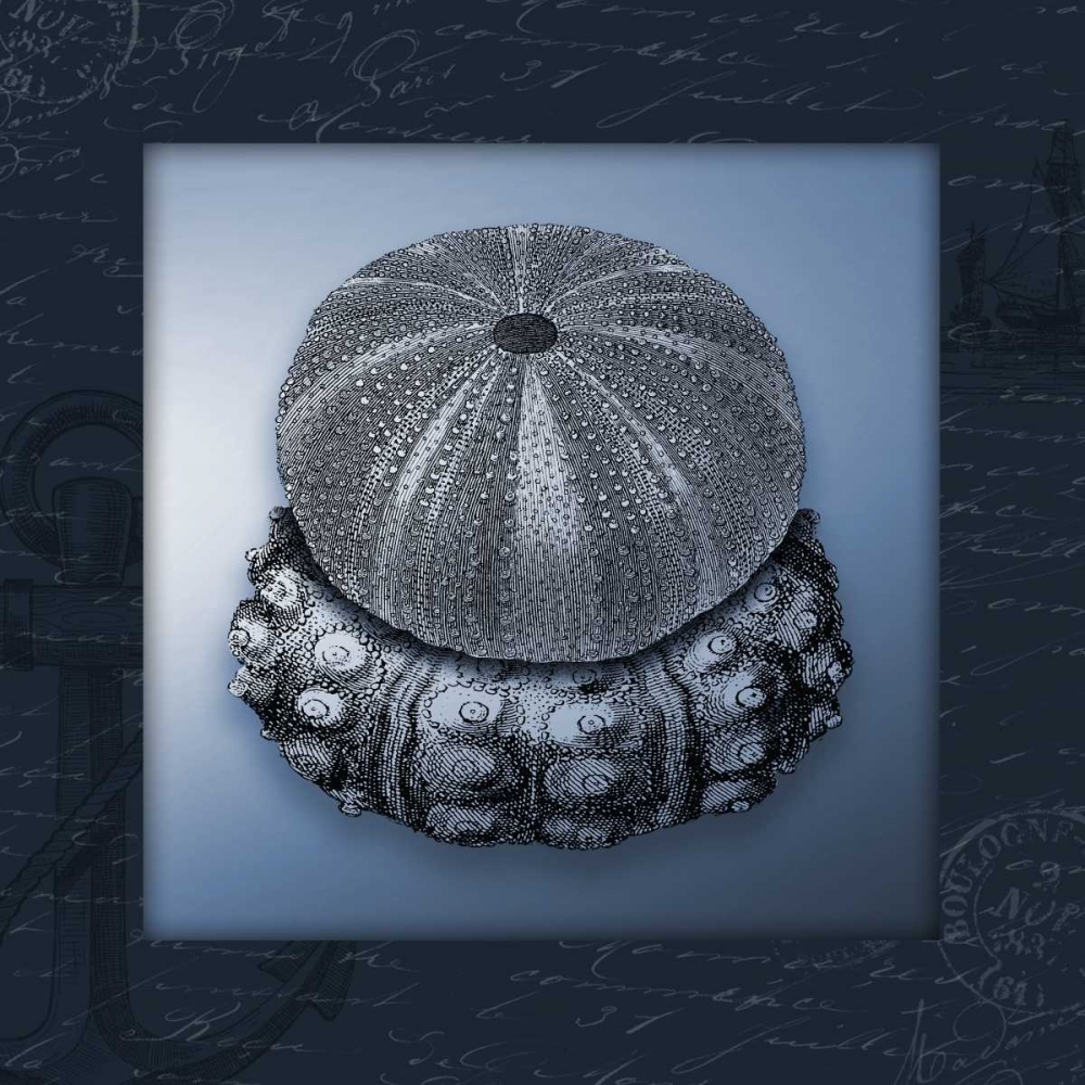 Nautical blue mate Bordered art print by Jace Grey for $57.95 CAD