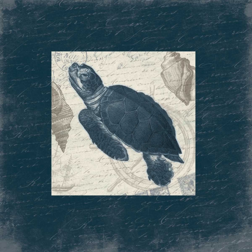 Turtle Bordered art print by Jace Grey for $57.95 CAD