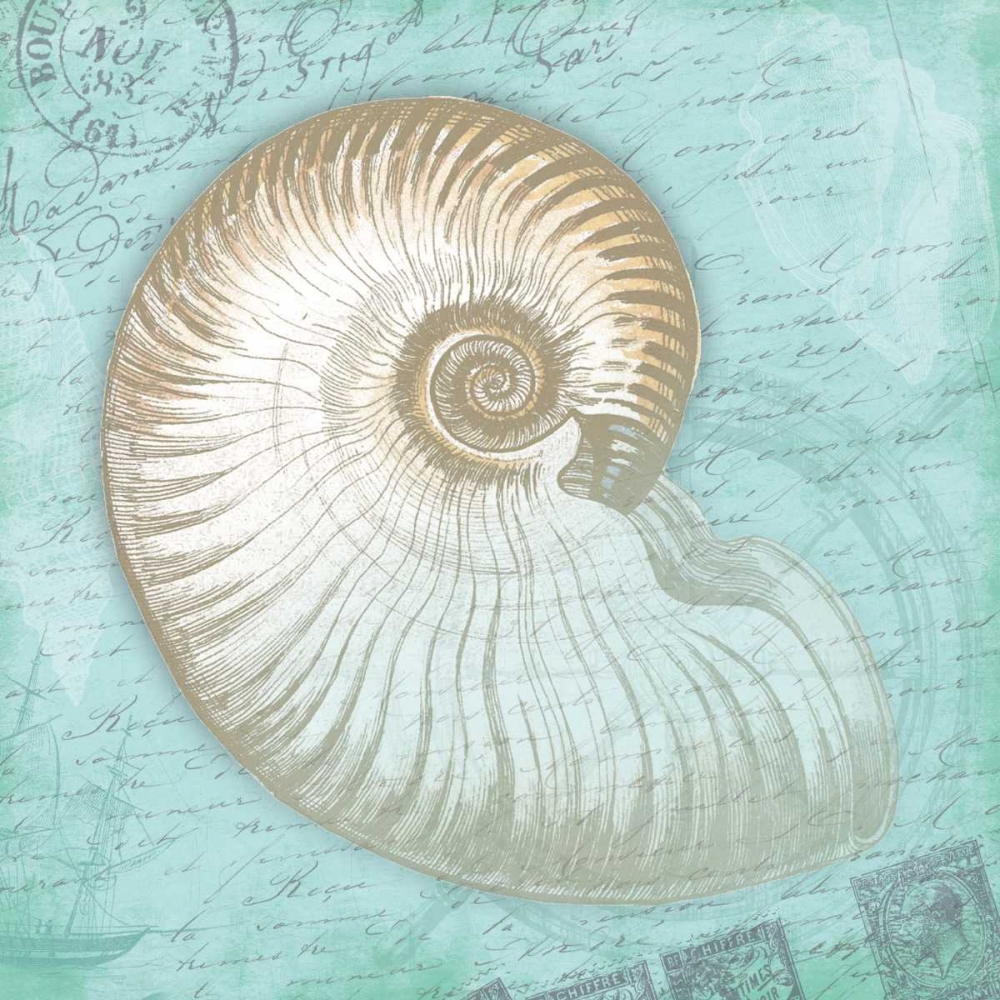 Nautical Shells art print by Jace Grey for $57.95 CAD