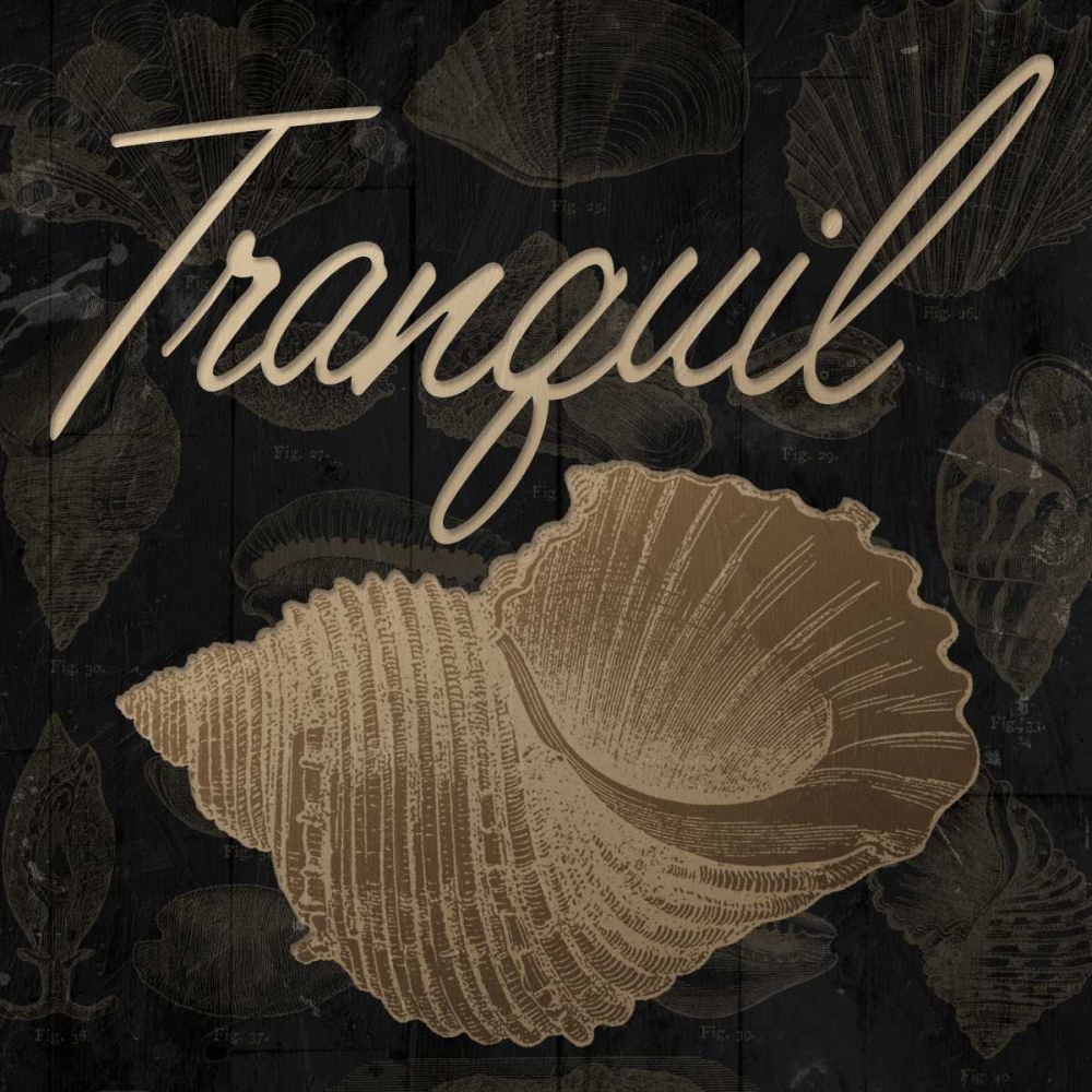 Tranquil Shell art print by Jace Grey for $57.95 CAD