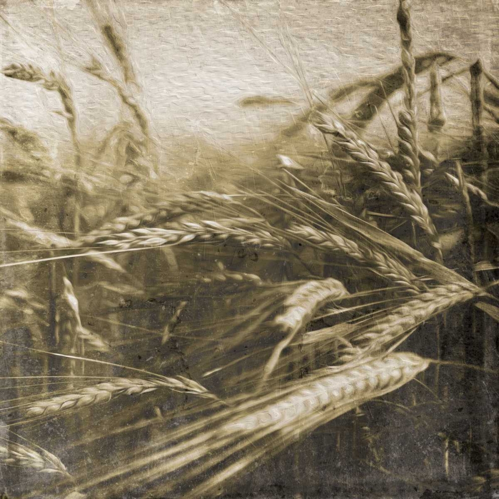 Wheat Fields art print by Jace Grey for $57.95 CAD