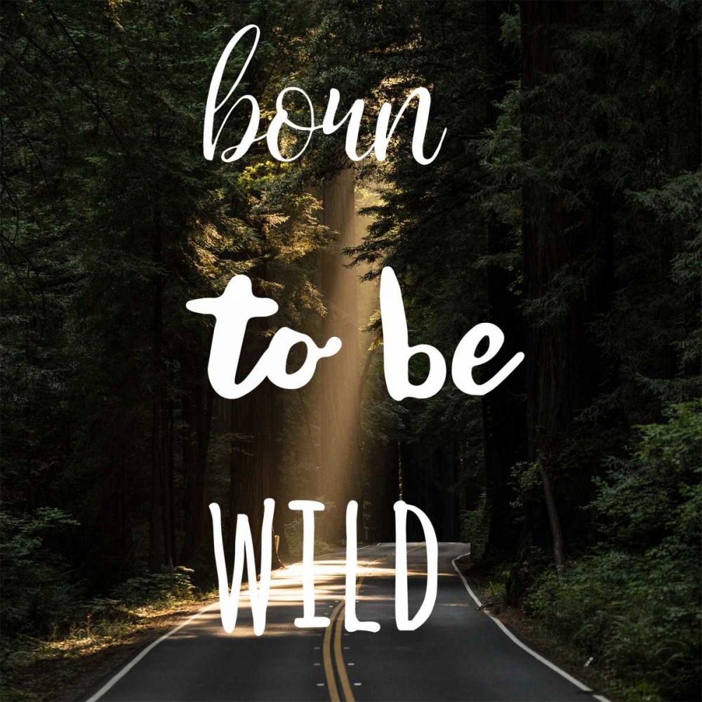 Born To Be Wild art print by Jelena Matic for $57.95 CAD