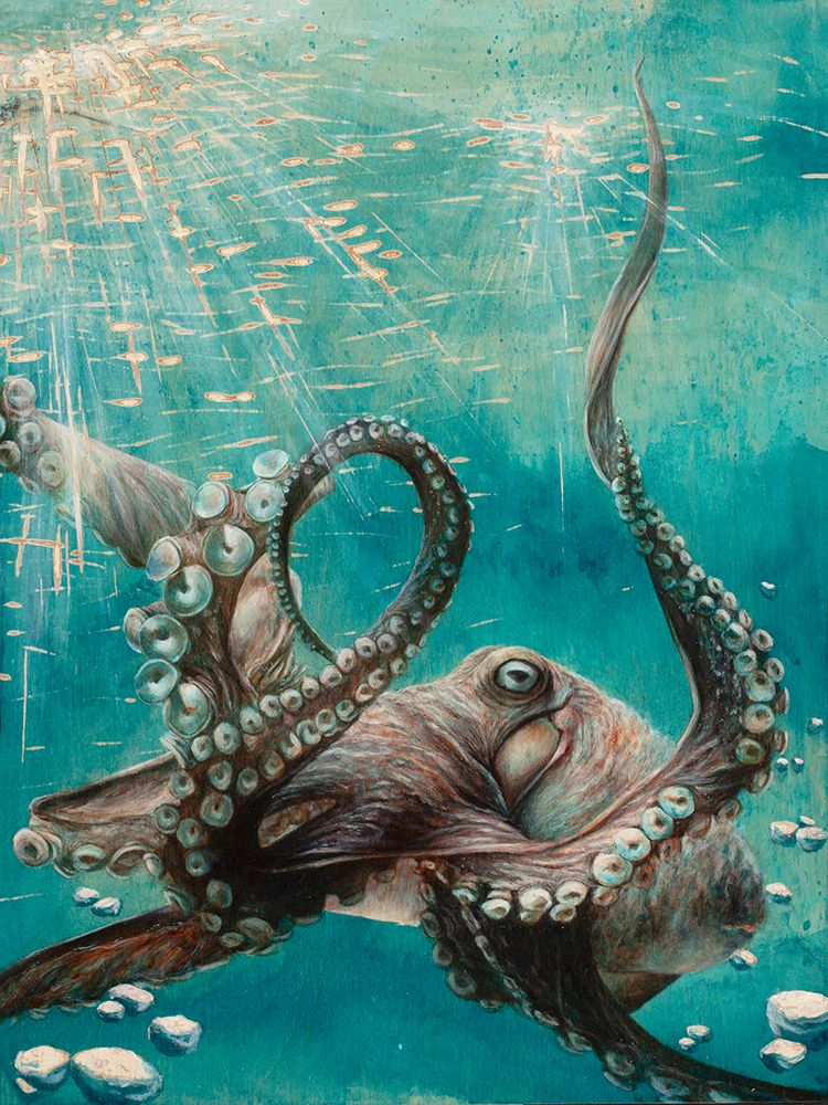 Octopus art print by Jessica Pidcock for $57.95 CAD