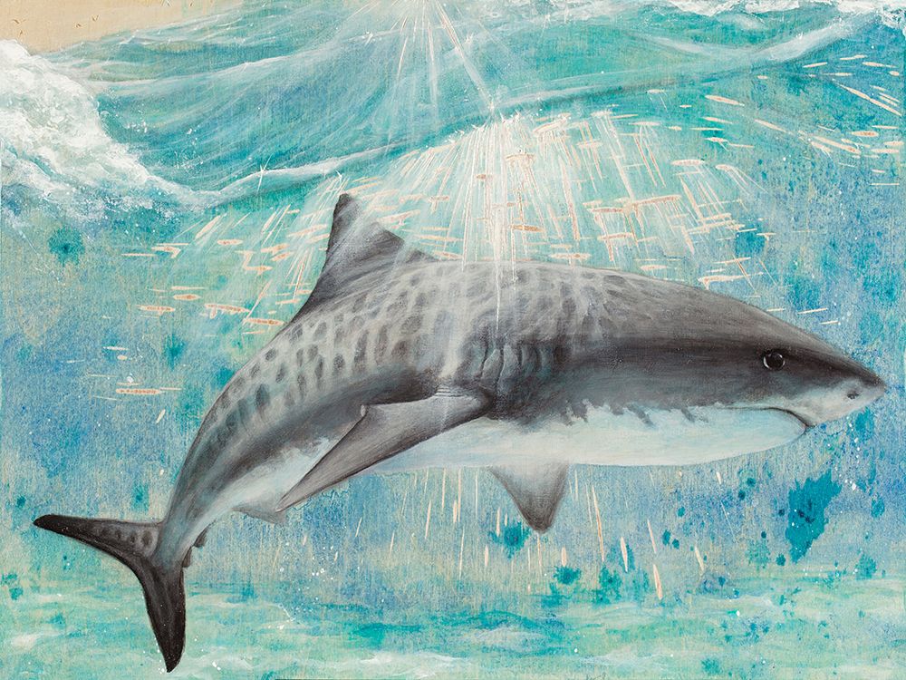 Shark art print by Jessica Pidcock for $57.95 CAD