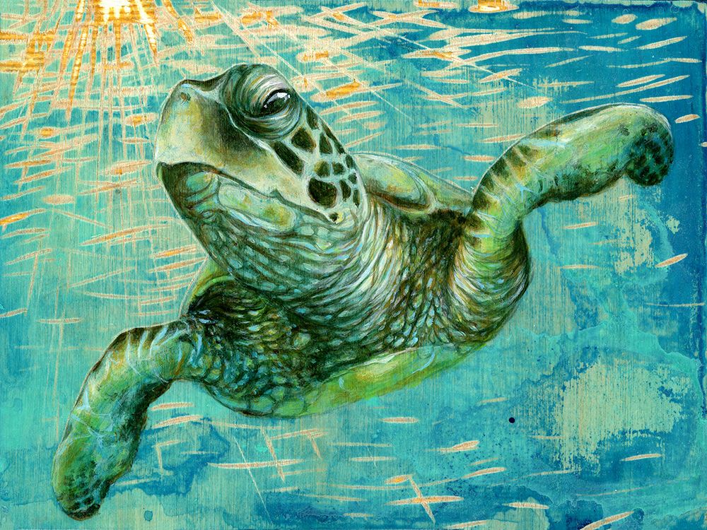 Turtle art print by Jessica Pidcock for $57.95 CAD