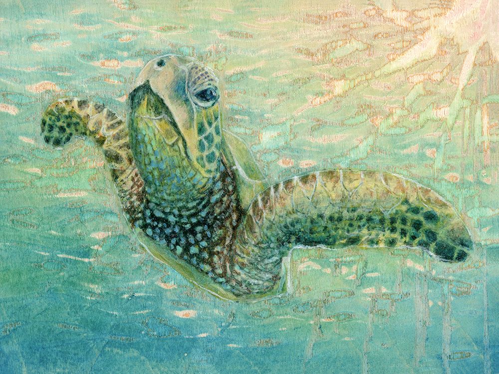 Turtle 2 art print by Jessica Pidcock for $57.95 CAD