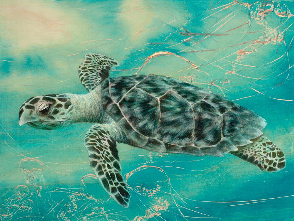 Turtle 3 art print by Jessica Pidcock for $57.95 CAD
