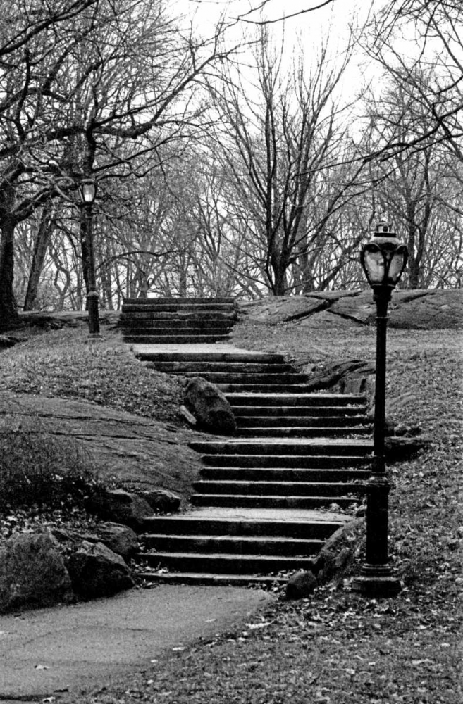 Central Park Stairs To Nowhere art print by Jace Grey for $57.95 CAD
