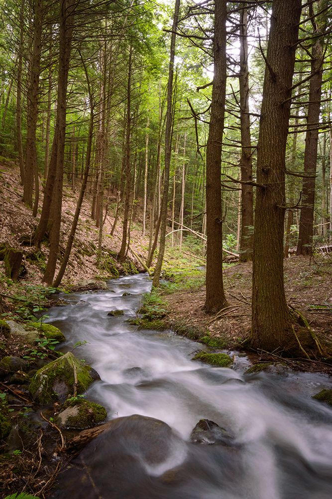 Mist In The Adirondacks art print by James Rodewald for $57.95 CAD
