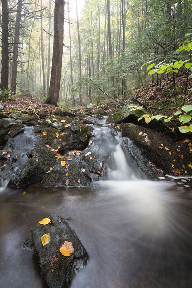 Mist In The Adirondacks 2 art print by James Rodewald for $57.95 CAD