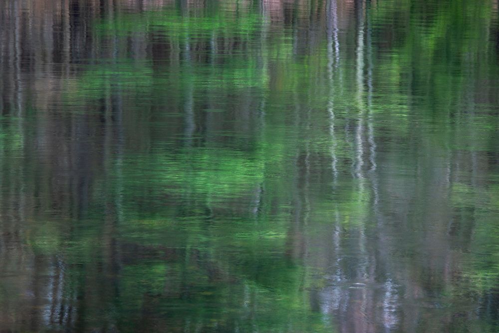 Blurred Vision 1 art print by James Rodewald for $57.95 CAD