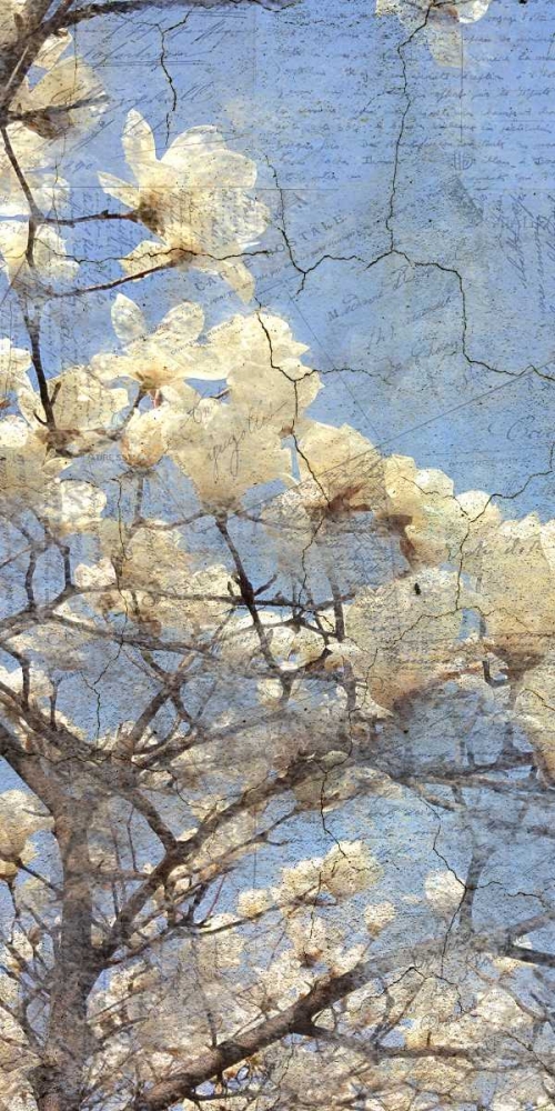 Magnolia Panel 2 art print by Kimberly Allen for $57.95 CAD