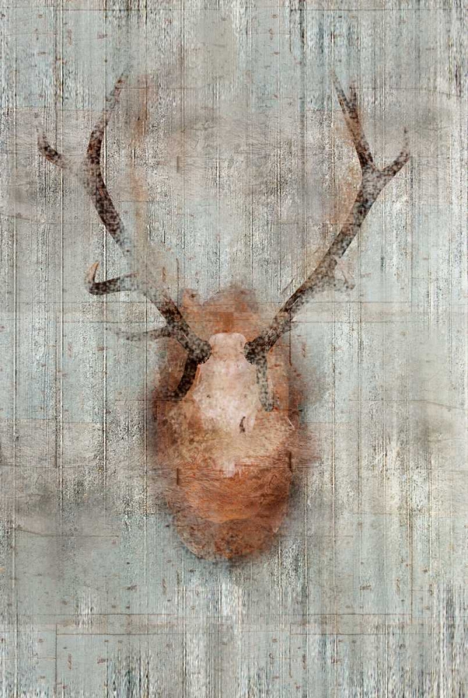 Antlers 2 art print by Kimberly Allen for $57.95 CAD