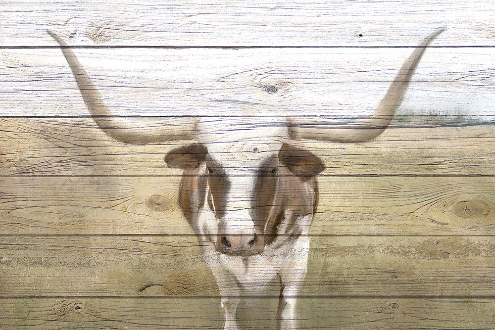 Longhorn art print by Kimberly Allen for $57.95 CAD