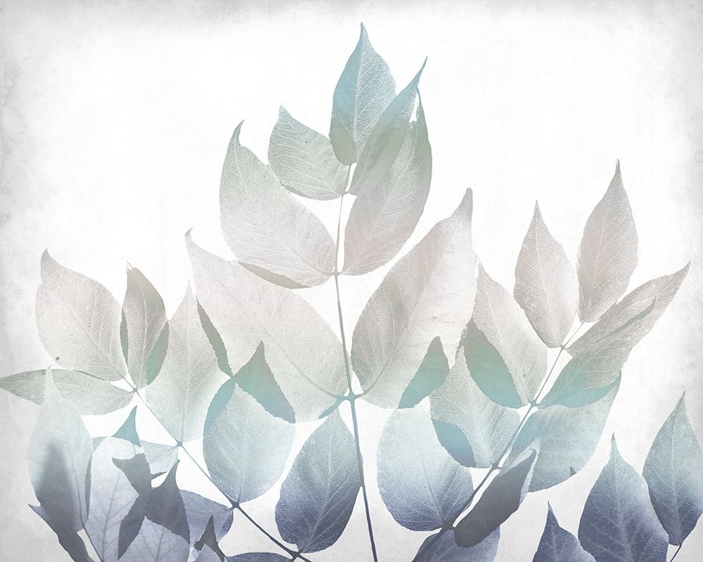 Antiqued Leaves 1 v2 art print by Allen Kimberly for $57.95 CAD