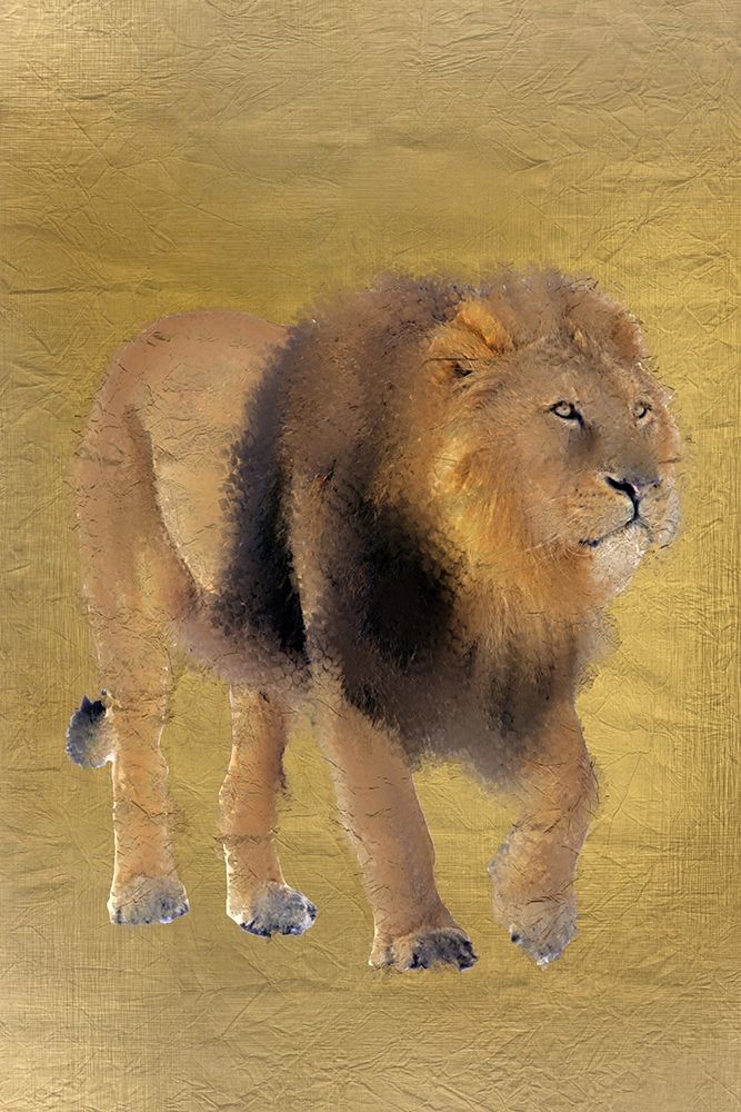Lion Gold art print by Allen Kimberly for $57.95 CAD