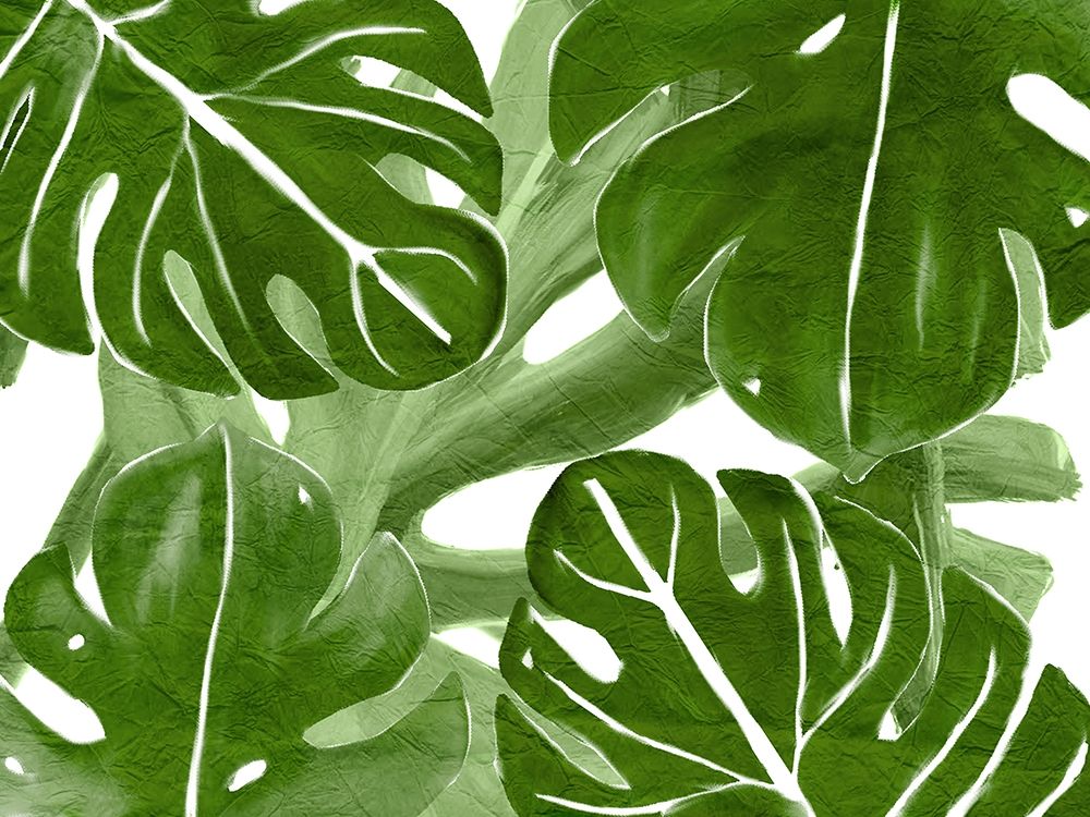 Tropic Green 4 art print by Allen Kimberly for $57.95 CAD