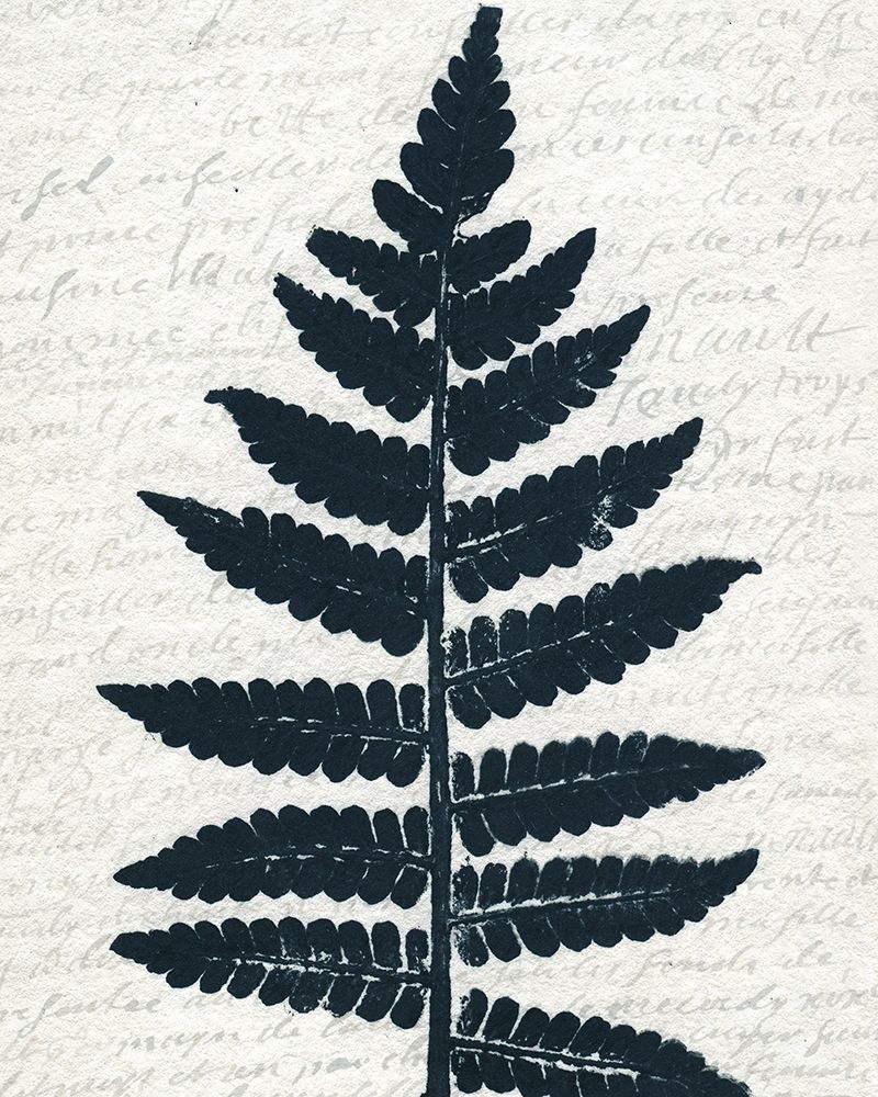 Pressed Leaf 3 art print by Allen Kimberly for $57.95 CAD