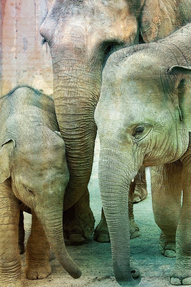Elephant Family art print by Allen Kimberly for $57.95 CAD