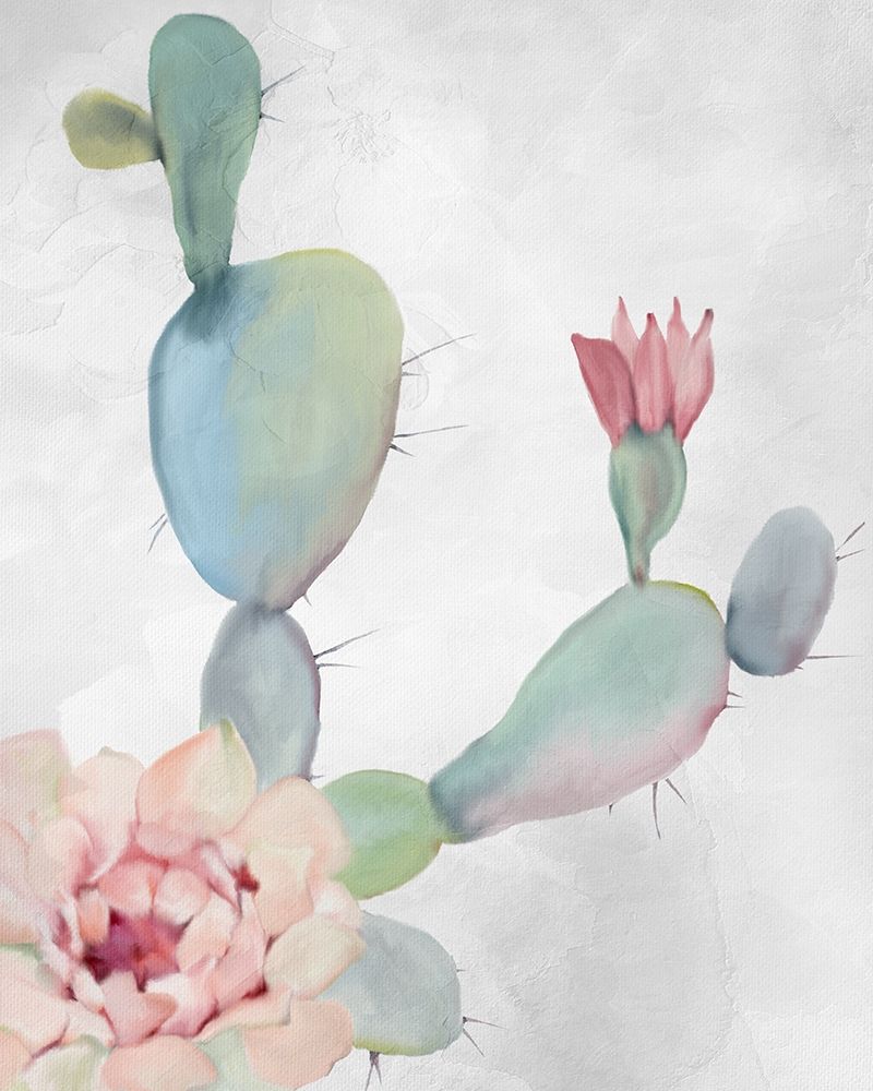Cactus Blooming 1 art print by Allen Kimberly for $57.95 CAD